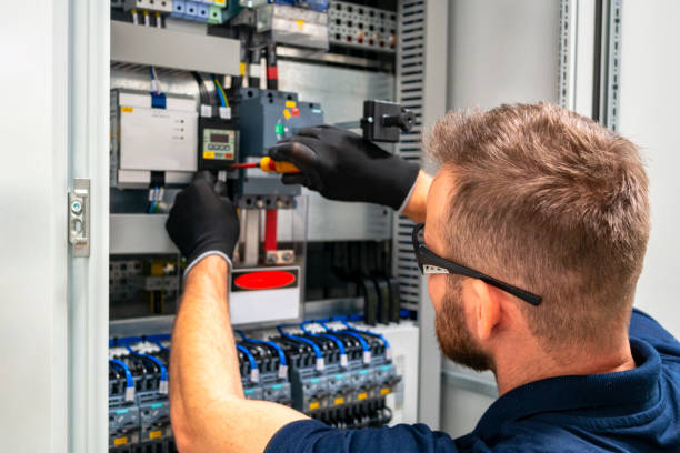 Best Electrical System Inspection  in Skippers Corner, NC