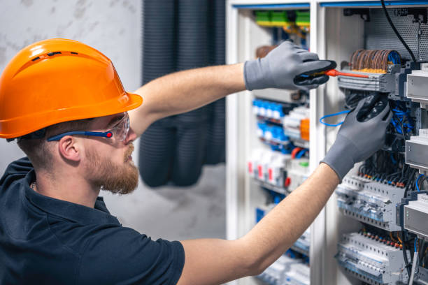 Best Electric Panel Repair  in Skippers Corner, NC